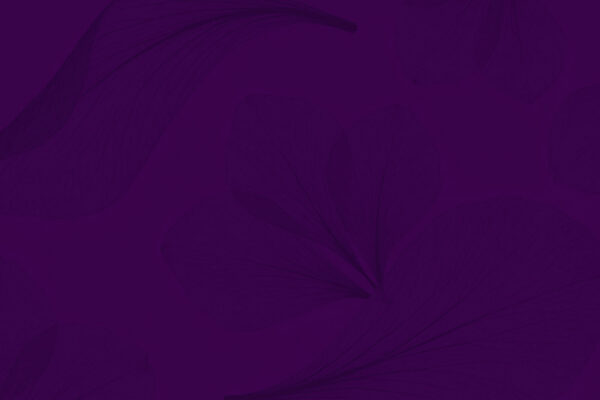 Robin-flower-3p-BG Soft floral background visual for Robin Dhaliwal website