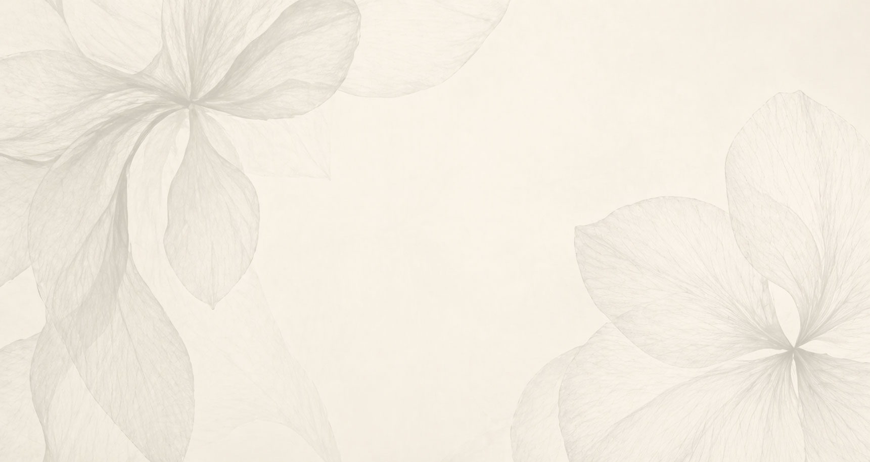 Frequently asked questions background visual for therapy, mediation, and coaching information.